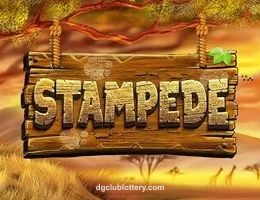 Stampede Game Preview